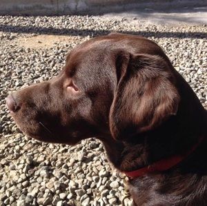 Meet your Posher, Claudine